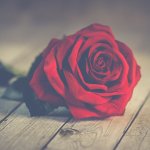 valentines