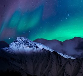 majesty