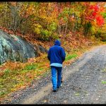 walk