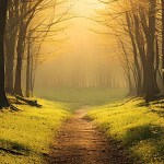 blog forest hope